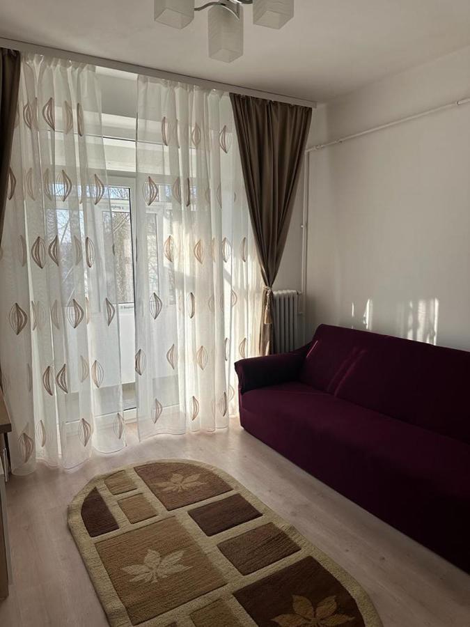 Velovan Apartment Craiova Ngoại thất bức ảnh